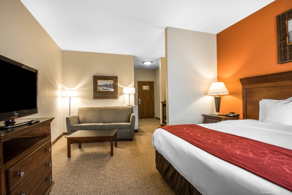 Hotel Comfort Suites Pelham Hoover I-65